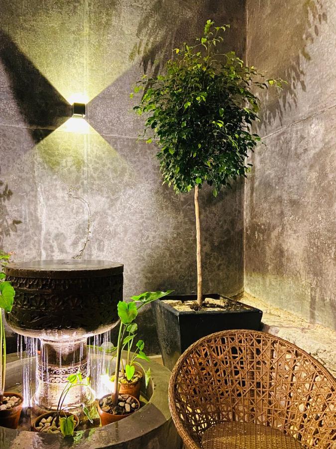 Casa Juana Guesthouse ซานมิเกล เด อาเญนเด ภายนอก รูปภาพ